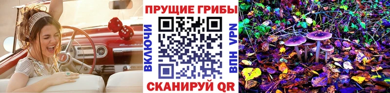 Галлюциногенные грибы Psilocybe Петрозаводск